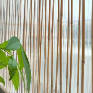 Polycarbonate Polyreed