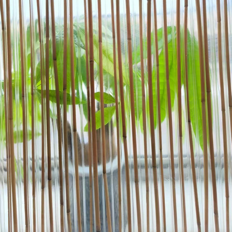 Polycarbonate Polyreed - Image 3